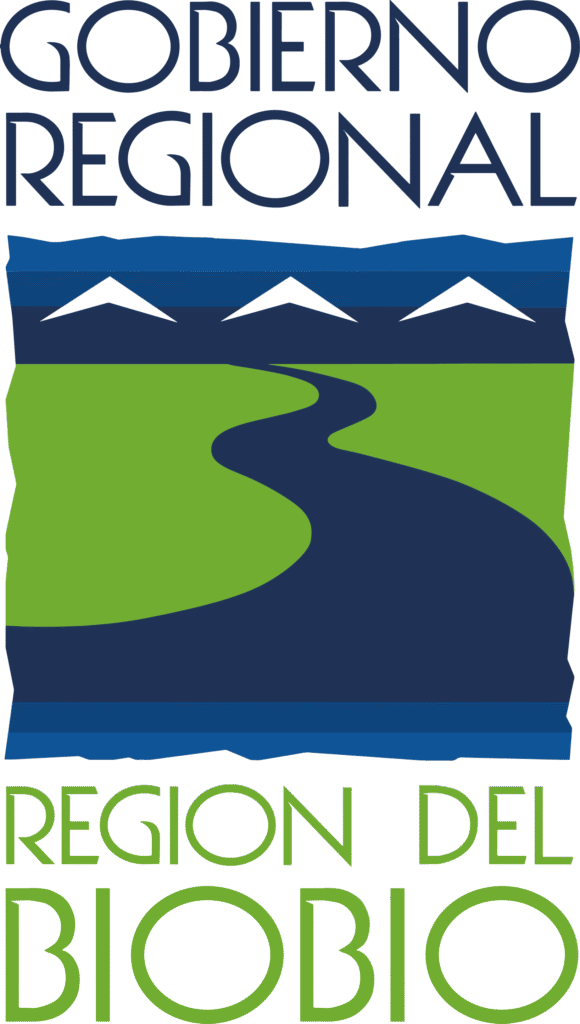 gobierno regional